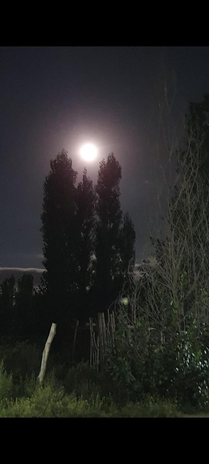 Terrazas De * Uspallata